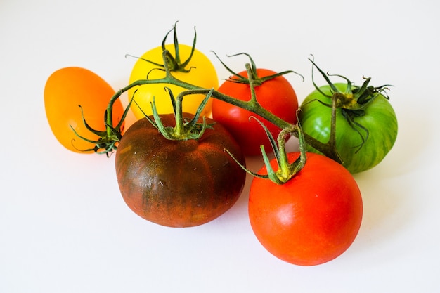 pomodori di diversi colori su un ramo