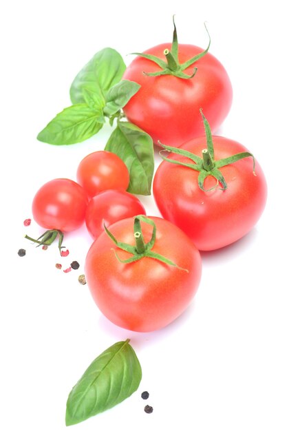 Pomodori e basilico isolati su sfondo bianco