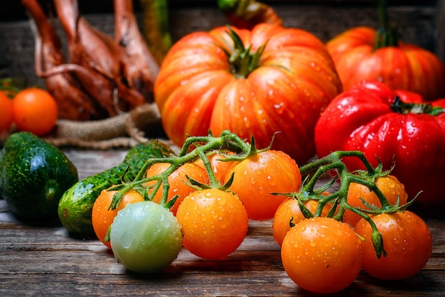 Pomodori estivi di raccolta