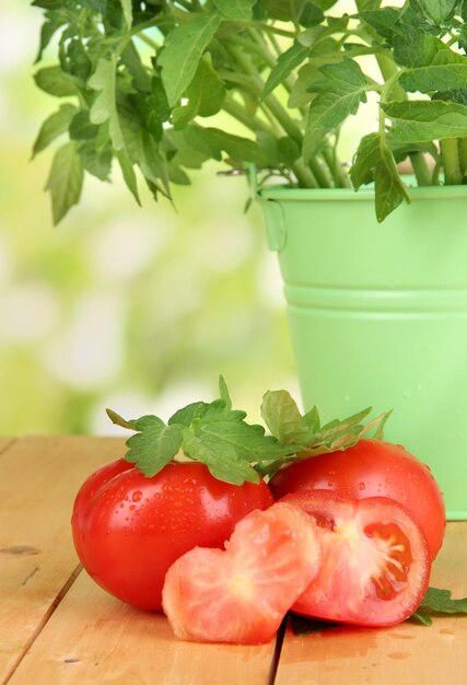 Pomodori freschi e pianta giovane in secchio sulla tavola di legno su sfondo naturale