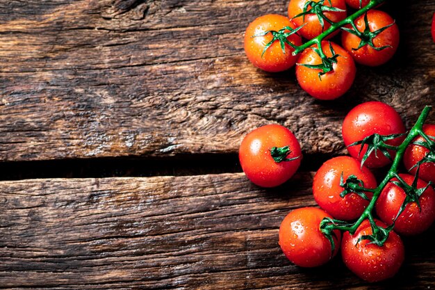 Pomodori freschi su un ramo sul tavolo