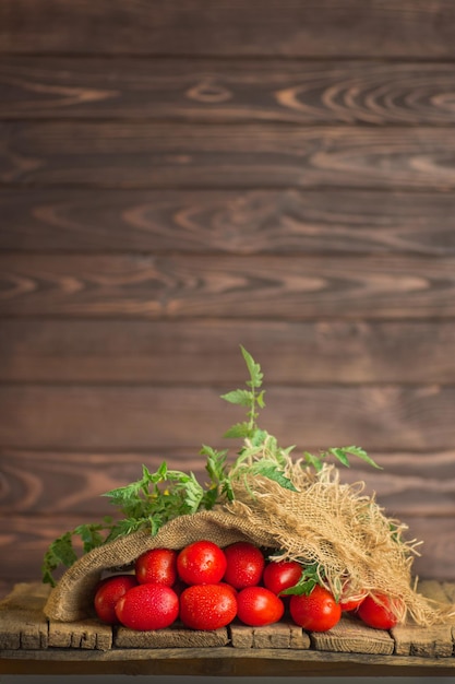 Pomodori lunghi su tavola di legno Stile country ucraino Concetto di prodotto naturale Posto vuoto per il testo