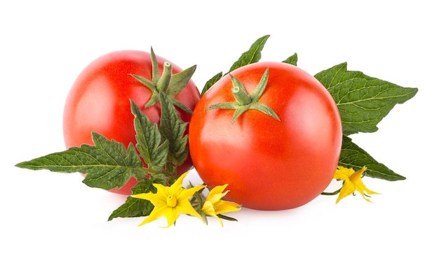 Pomodori maturi isolati su sfondo bianco