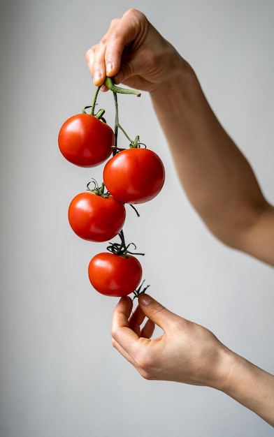 Pomodori maturi rossi freschi sul ramo in mano su sfondo grigio chiaro Cibo crudo per una sana dieta vegana