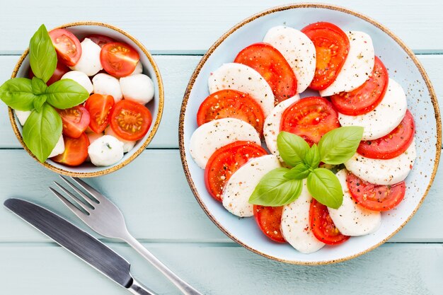 Pomodori, mozzarella, basilico e spezie sulla lavagna di pietra grigia ardesia