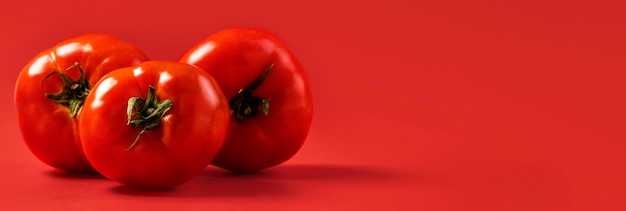 Pomodori organici del primo piano con lo spazio della copia