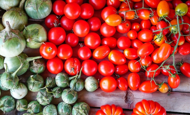 Pomodori rossi biologici freschi e melanzana verde