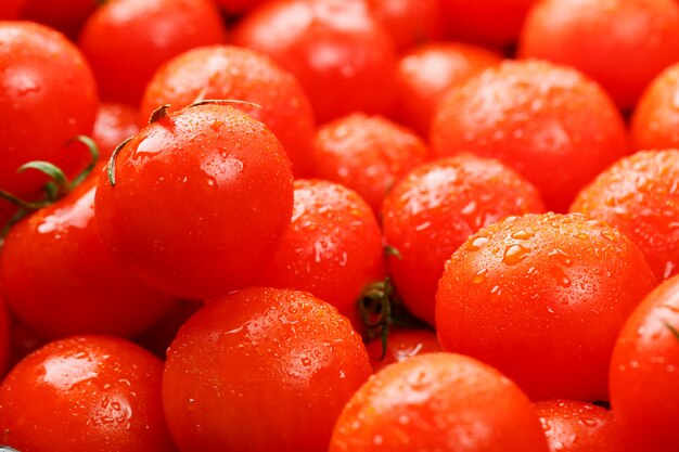 Pomodori rossi maturi, con gocce di rugiada.