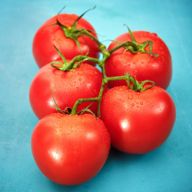 Pomodori rossi maturi su sfondo blu