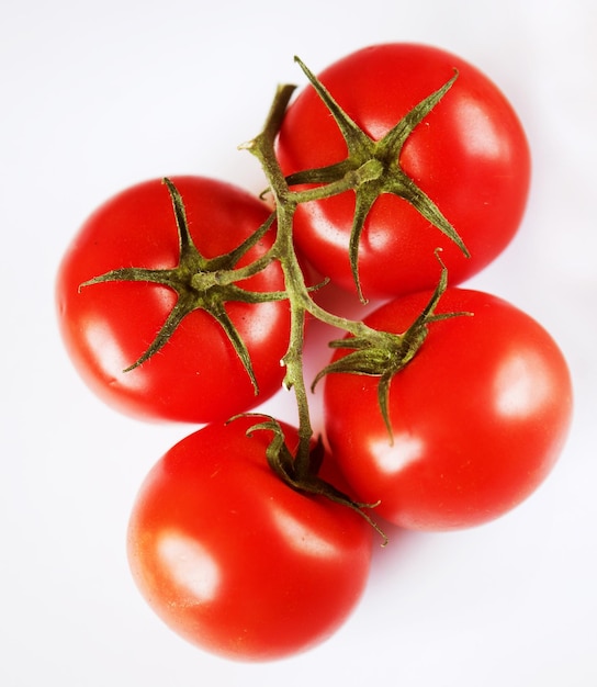 Pomodori rossi su un ramoscello verde su sfondo bianco