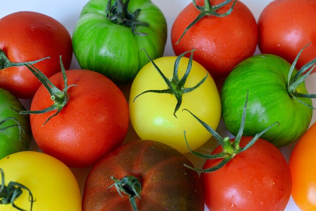 pomodori rosso, giallo e verde