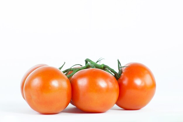 Pomodori su un ramo .isolato sfondo bianco.foto con copia spazio