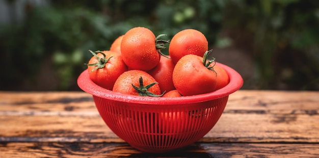 Pomodori succosi freschi ricoperti di gocce d'acqua su un tavolo di legno