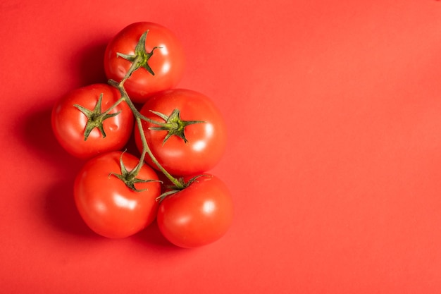 Pomodori succosi su una superficie rossa brillante