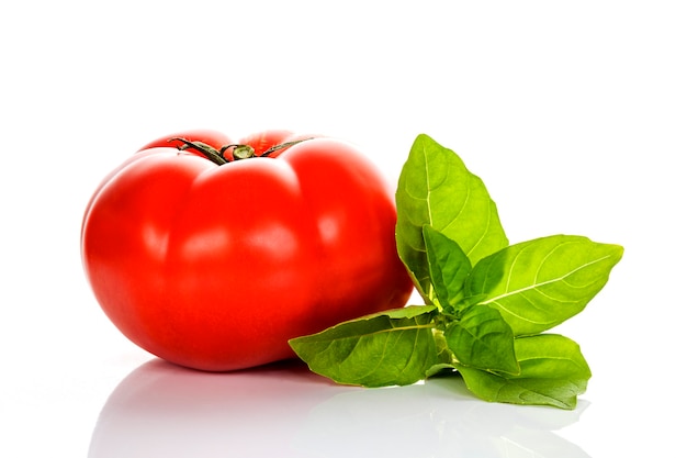 Pomodoro e basilico su sfondo bianco