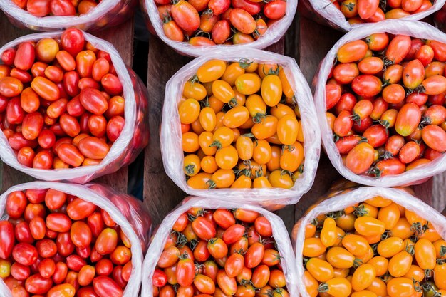 pomodoro giallo e rosso in busta di plastica