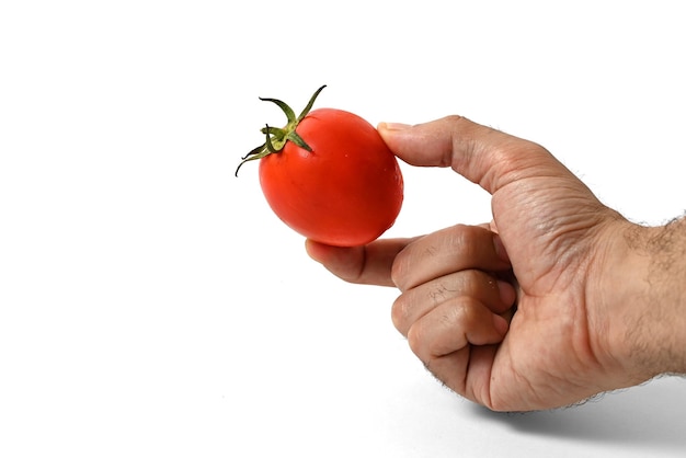 Pomodoro isolato su sfondo bianco