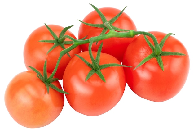 Pomodoro. Ramo di pomodoro. Pomodori isolati su bianco. Con tracciato di ritaglio.