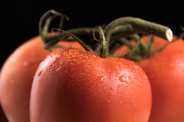 Pomodoro rosso ecologico e fresco su fondo nero