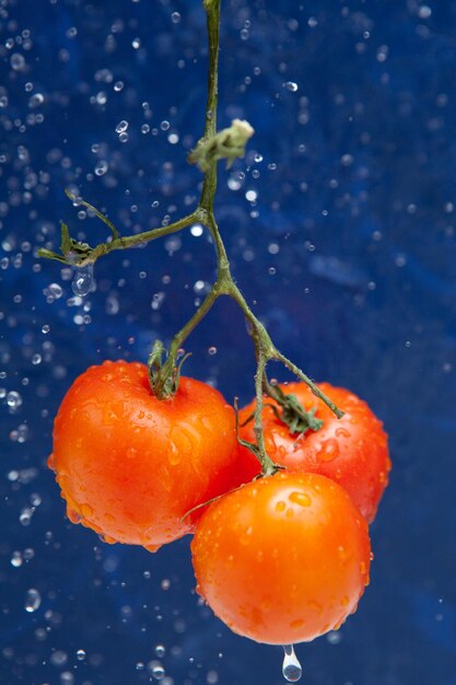 Pomodoro rosso fresco nelle gocce d'acqua