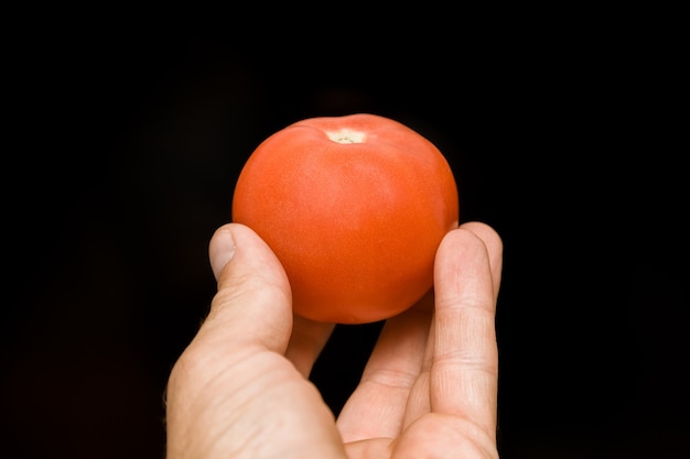 pomodoro rosso in mano sfondo nero insalata verdure