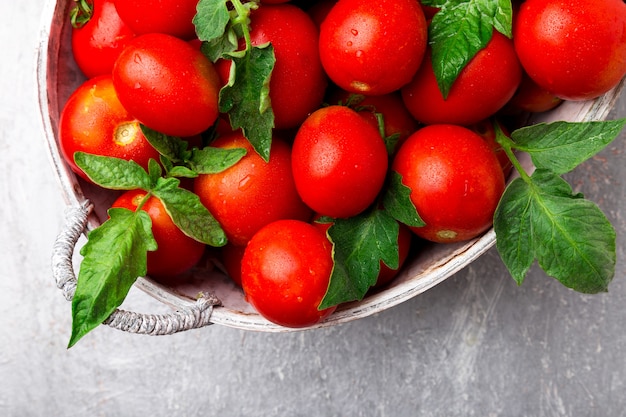 Pomodoro rosso nel cestino grigio.