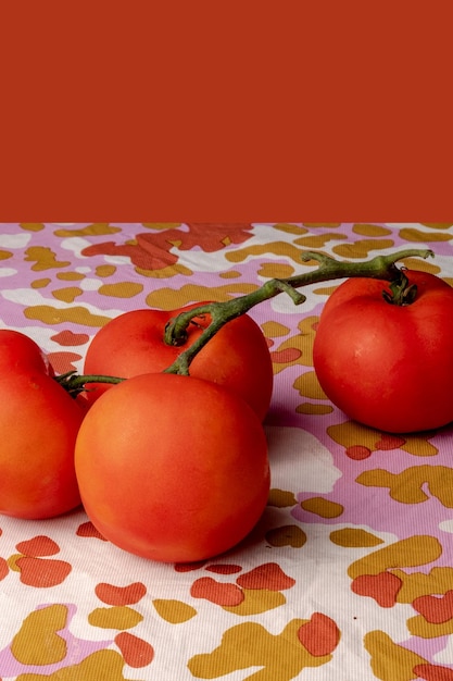 Pomodoro sul ramo su un tavolo con uno sfondo rosso.