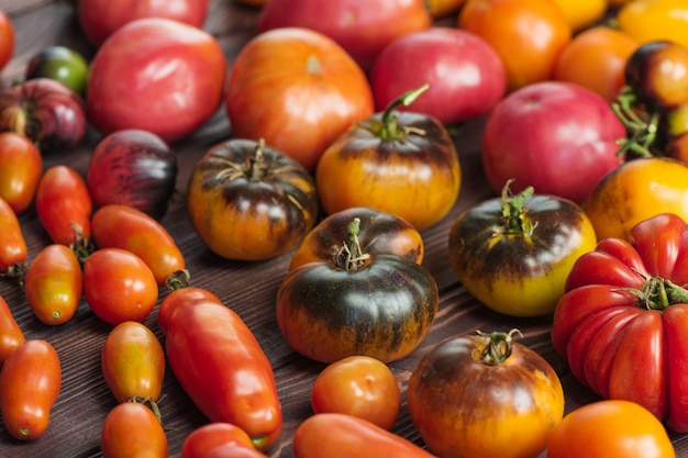 Pomodoro sul vecchio legno. Pomodori freschi grandi e piccoli su fondo di legno scuro.