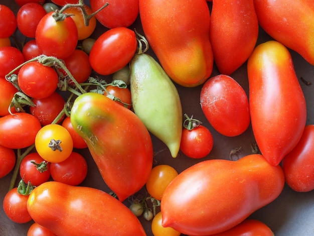 Pomodoro vegetale