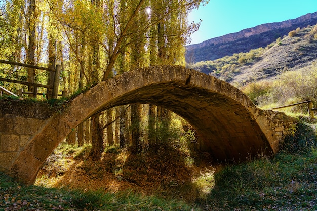 Ponte ad arco in pietra sul percorso coperto di foglie in autunno.