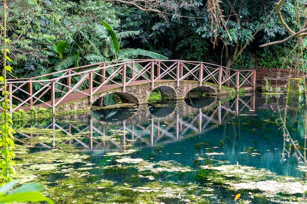 Ponte ad arco su un lago con riflessione, Tanzania, Africa orientale. Passerella su uno stagno