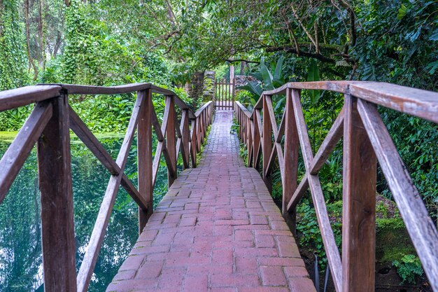 Ponte ad arco su un lago