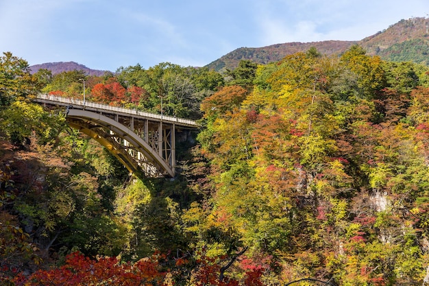 Ponte che attraversa la gola di Naruko