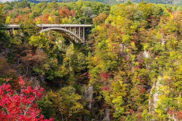 Ponte che passa attraverso Naruko Gorge in autunno