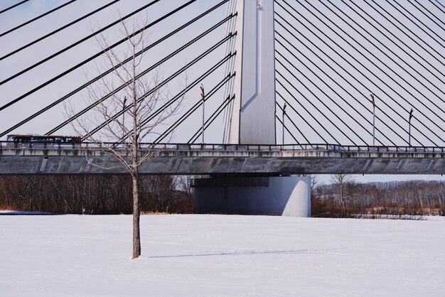 Ponte contro il cielo durante l'inverno