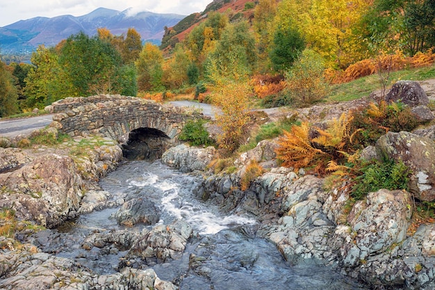 Ponte del cavallo da soma