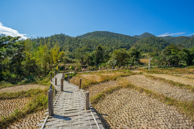 Ponte di bambù lungo in Pai, Tailandia