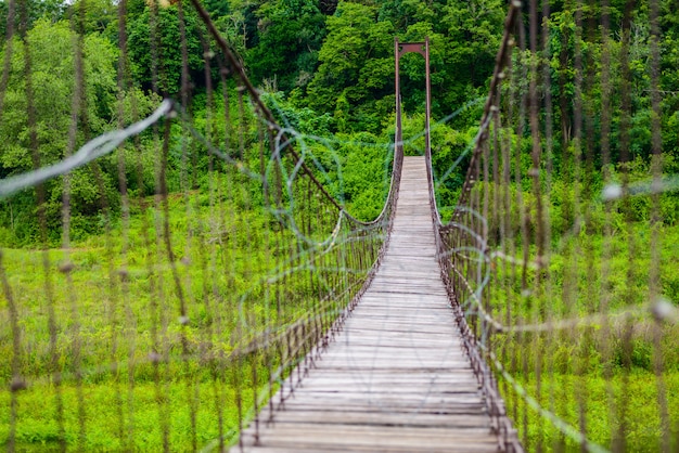 Ponte di corda nel parco nazionale Kaeng Krachan
