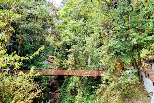 Ponte di corda sopra la cascata del Rio Tigre nella foresta pluviale di Oxapampa a Pasco Perù