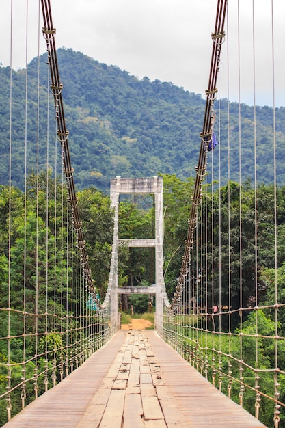 Ponte di corda