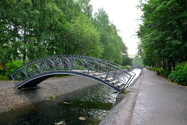 ponte di ferro sul torrente con alberi verdi sullo sfondo in una giornata piovosa