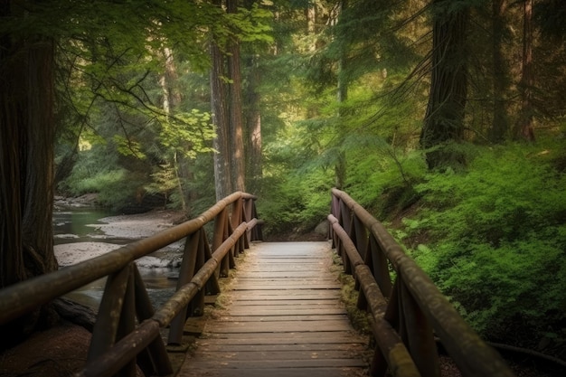 Ponte di legno che attraversa il fiume nella foresta selvaggia IA generativa