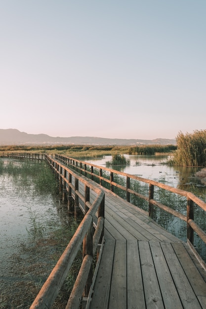 Ponte di legno con recinzioni in natura