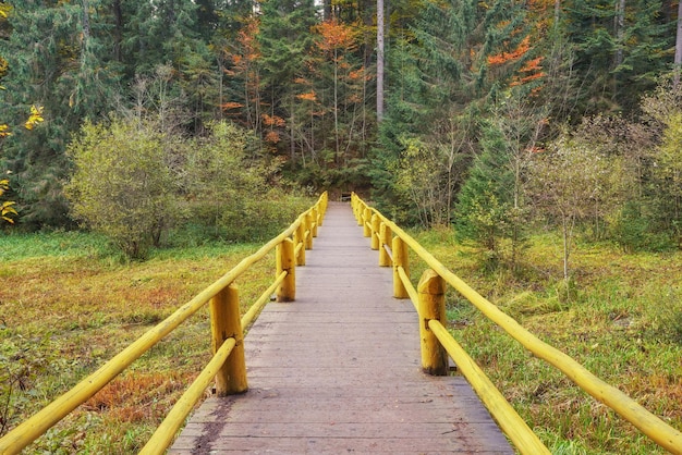 Ponte di legno del paesaggio autunnale nel parco autunnale