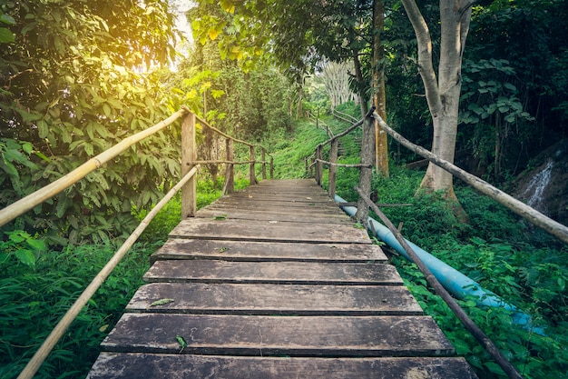 Ponte di legno del percorso d&#39;escursione della foresta nel fondo d&#39;annata di flair