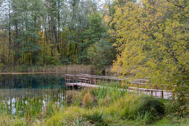 Ponte di legno dotato di gradini per nuotare nell'acqua gelida di un lago blu a Kazan. Le canne, l'erba, gli alberi e l'acqua turchese di un lago curativo. Paesaggio autunnale.