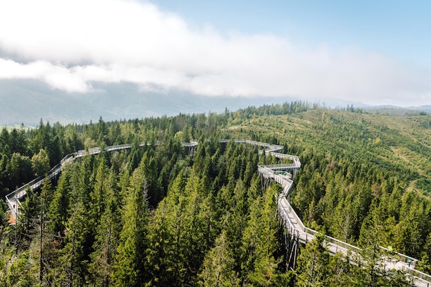 Ponte di legno in mezzo alla foresta con vista sulle montagne Tatra concetto di architettura escursioni
