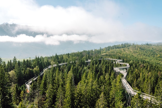 Ponte di legno in mezzo alla foresta con vista sulle montagne Tatra concetto di architettura escursioni