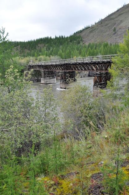 Ponte di legno in Yakutia attraverso il fiume di montagna