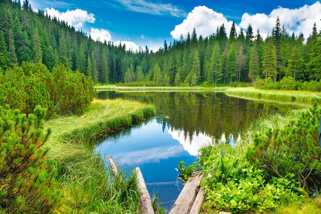 Ponte di legno nel lago blu